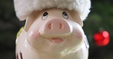 sparkasse, christmas savings bank, pig