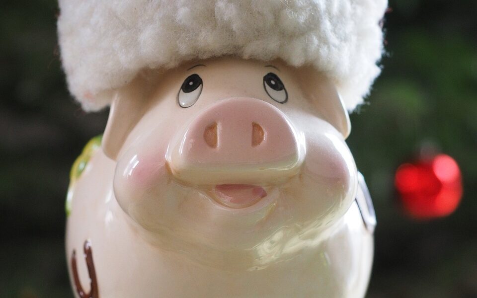 sparkasse, christmas savings bank, pig