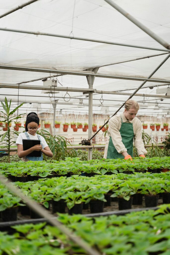 Two horticulturists tending to potted plants inside a greenhouse.