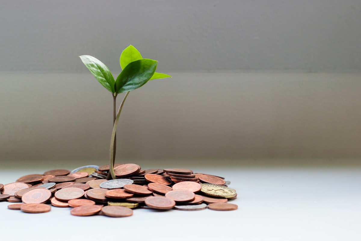 best ETFs to buy on investing app - mobile stock portfolio