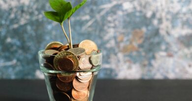 how to invest with $100 - beginner investing guide 2026