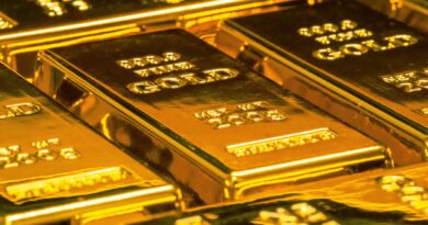 Gold as Portfolio Insurance: How Much Gold Should You Own?