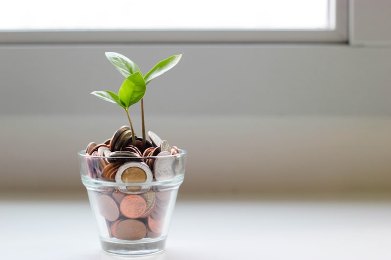 growing wealth through long term investing