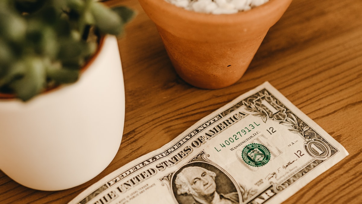 a US dollar bill next to growing plants showing how compound interest works over time